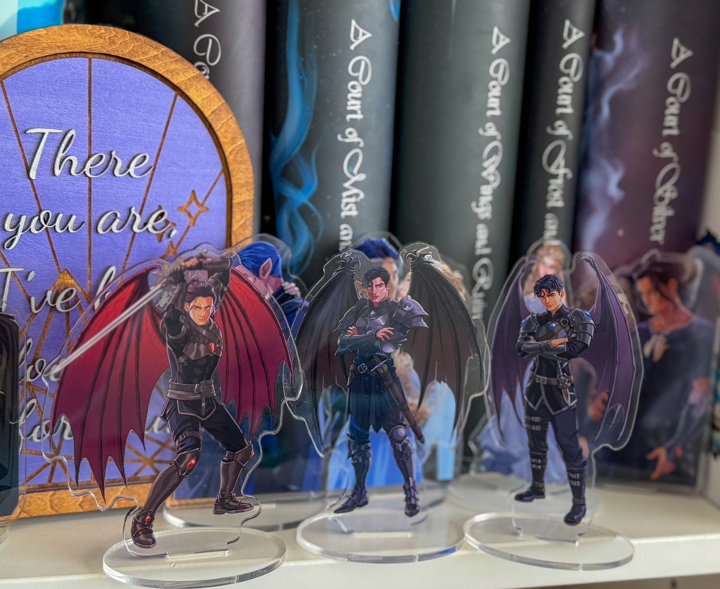 Rhys ACOWAR Shelfie
