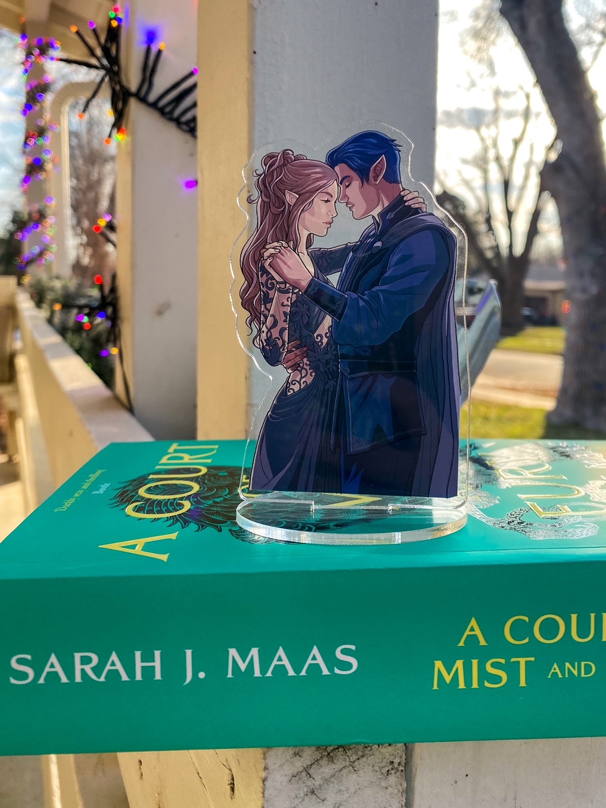 Rhys and Feyre Dancing Shelfie
