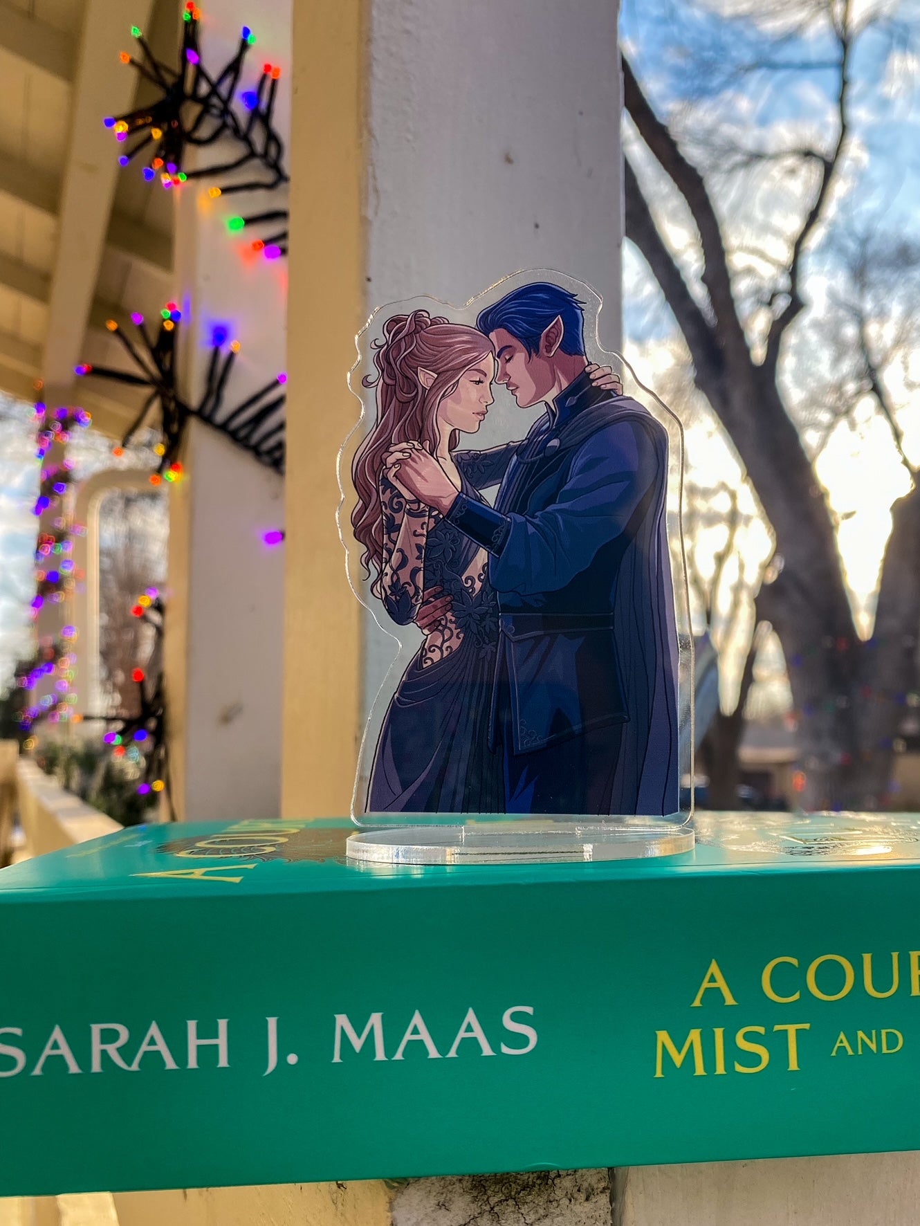 Rhys and Feyre Dancing Shelfie