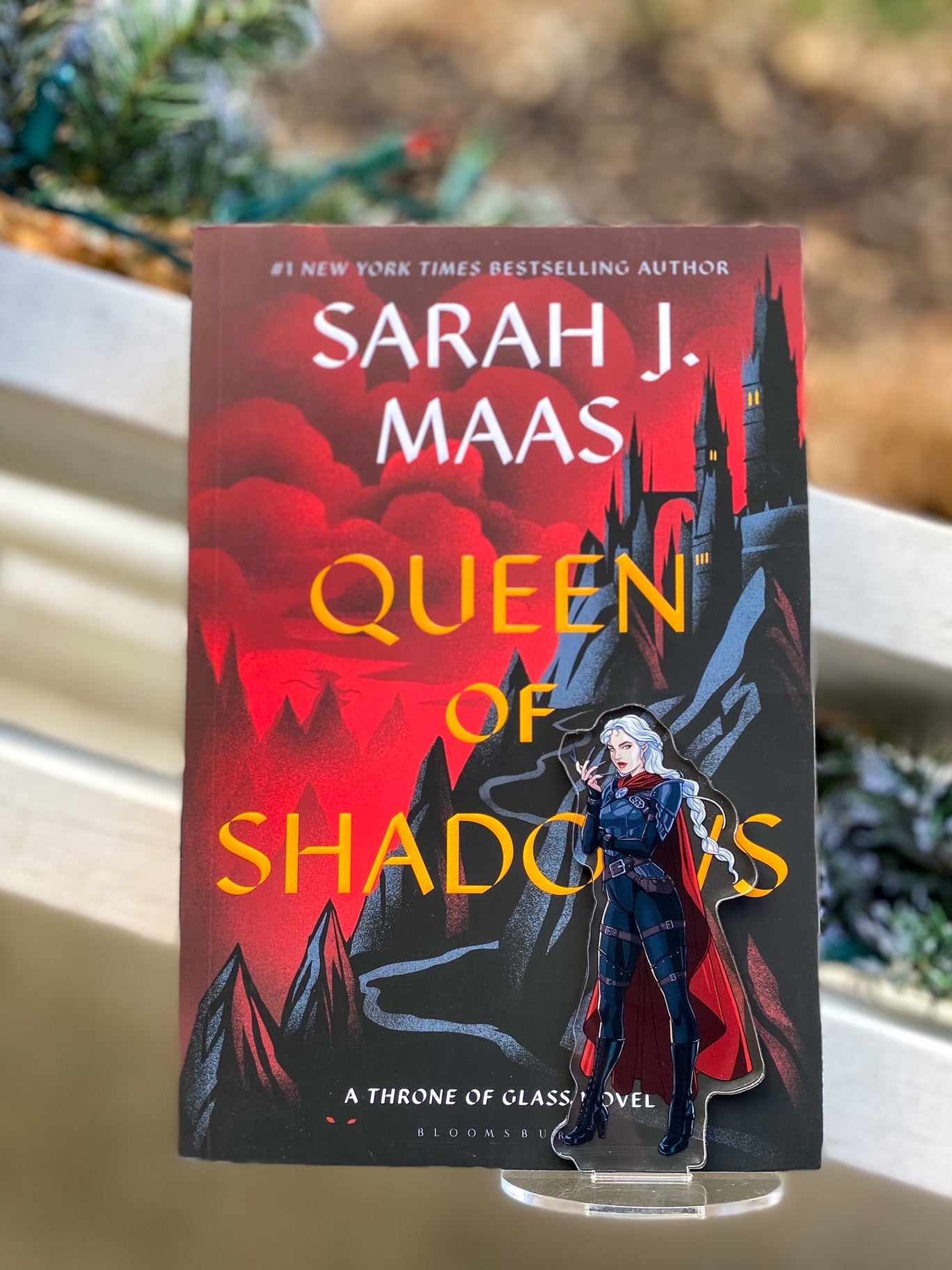 Manon Blackbeak Shelfie