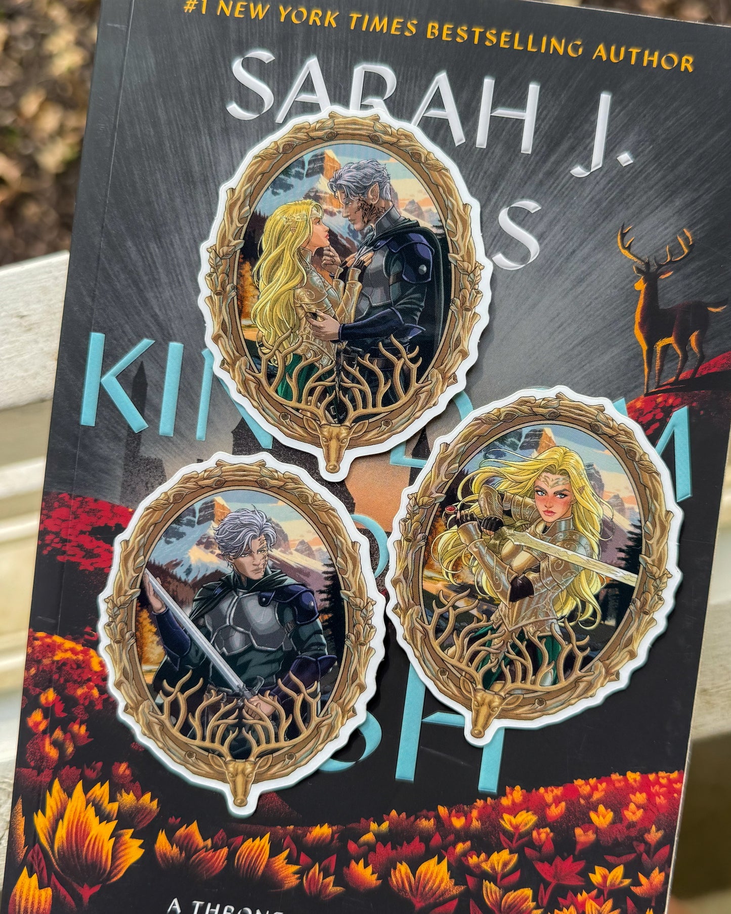 Aelin, Rowan, & Rowaelin Portrait Stickers (NEW!)