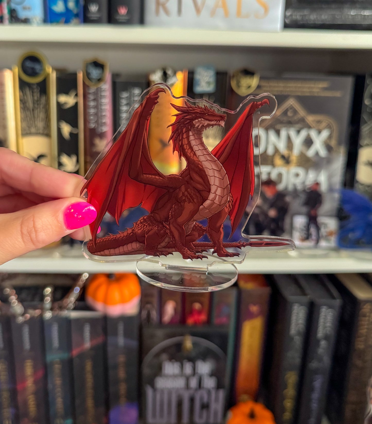 Aotrom Dragon Shelfie (NEW!)