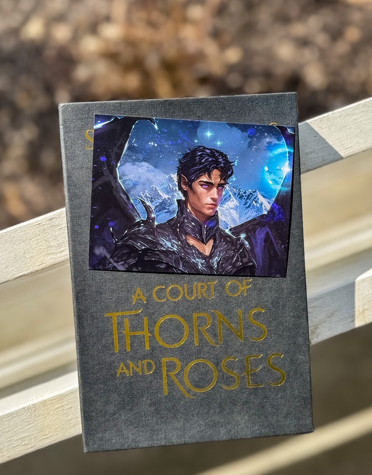 Rhysand the High Lord Print