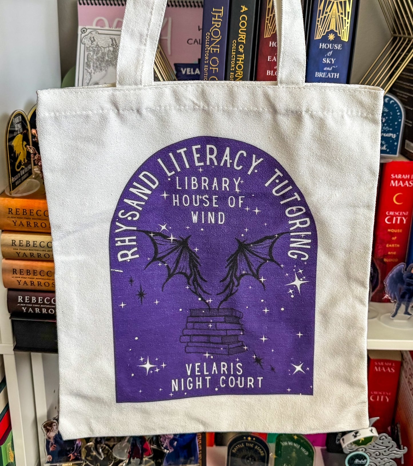 Rhys Literacy Tutoring Bag