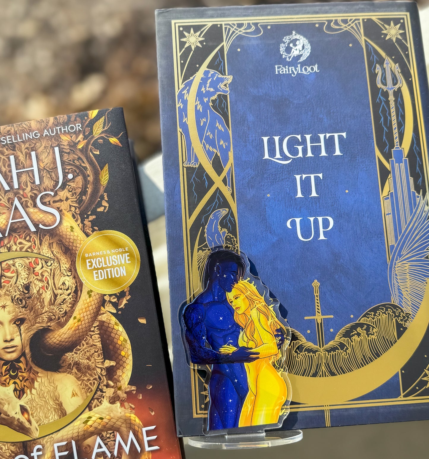 Day/Night (Ruhn/Lidia) Couple Shelfies (NEW!)