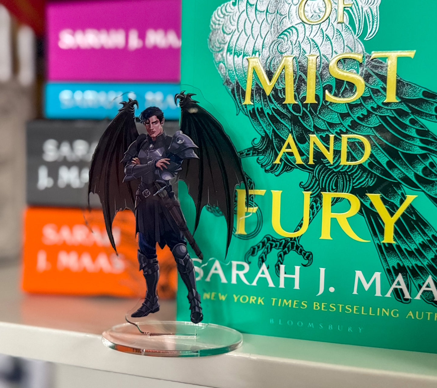 Rhys ACOWAR Shelfie