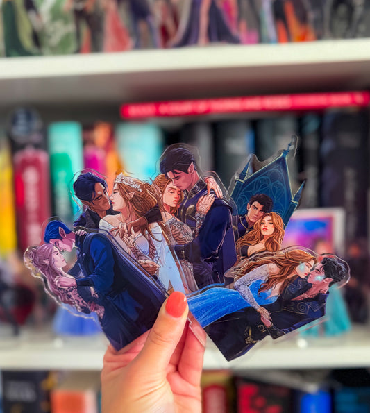 Feysand Couple Shelfies