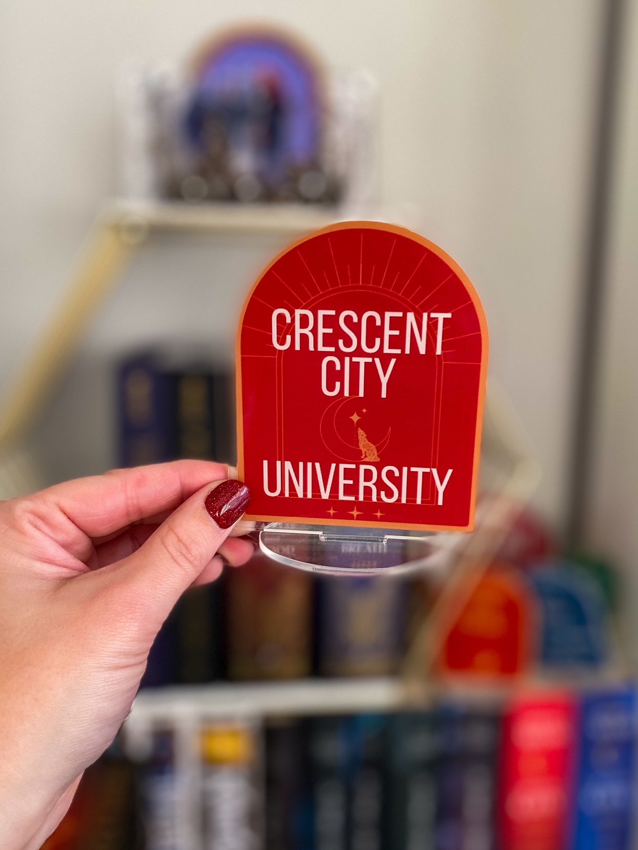 Crescent City University Shelfie (NEW)